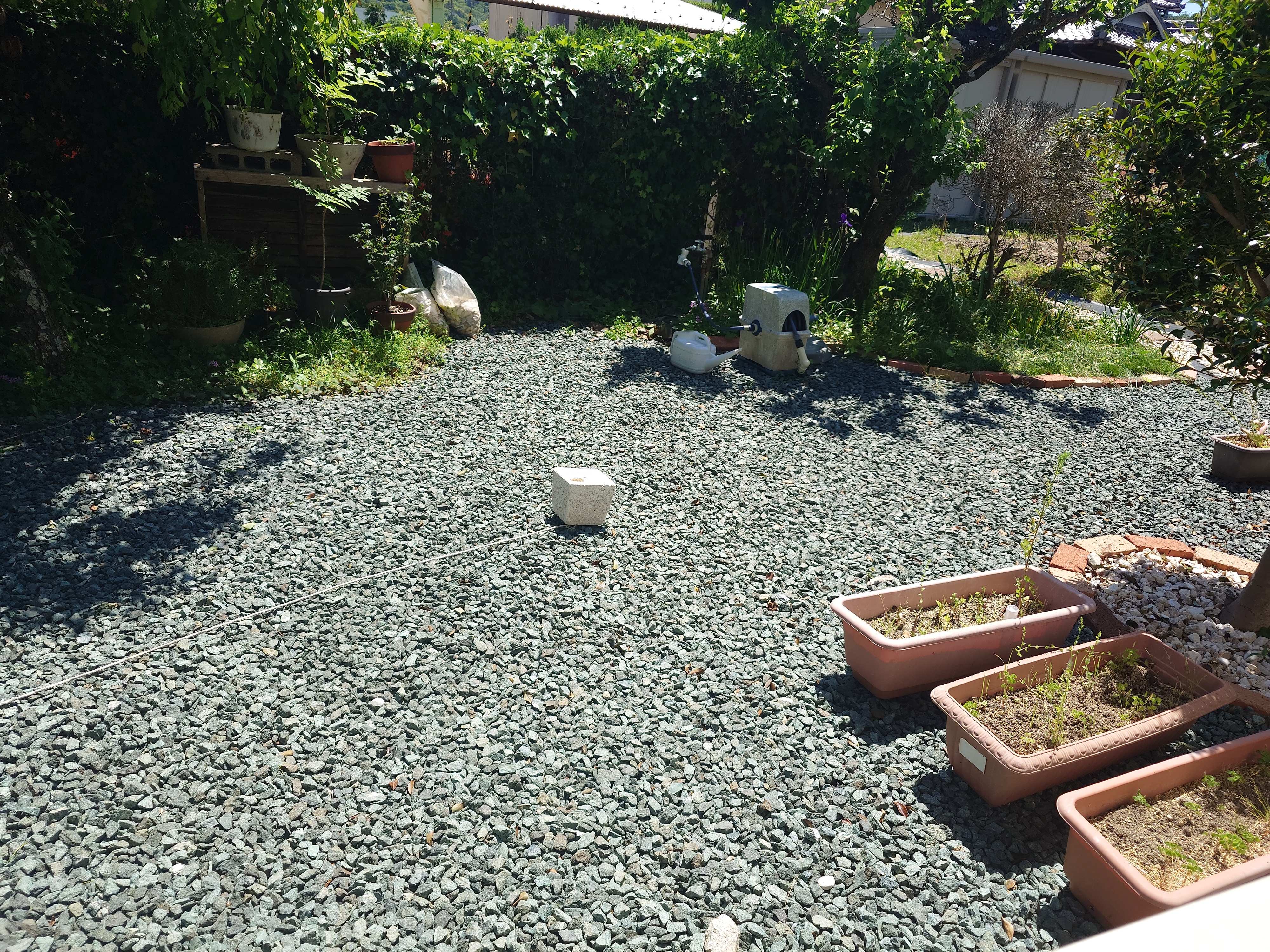 midday ground