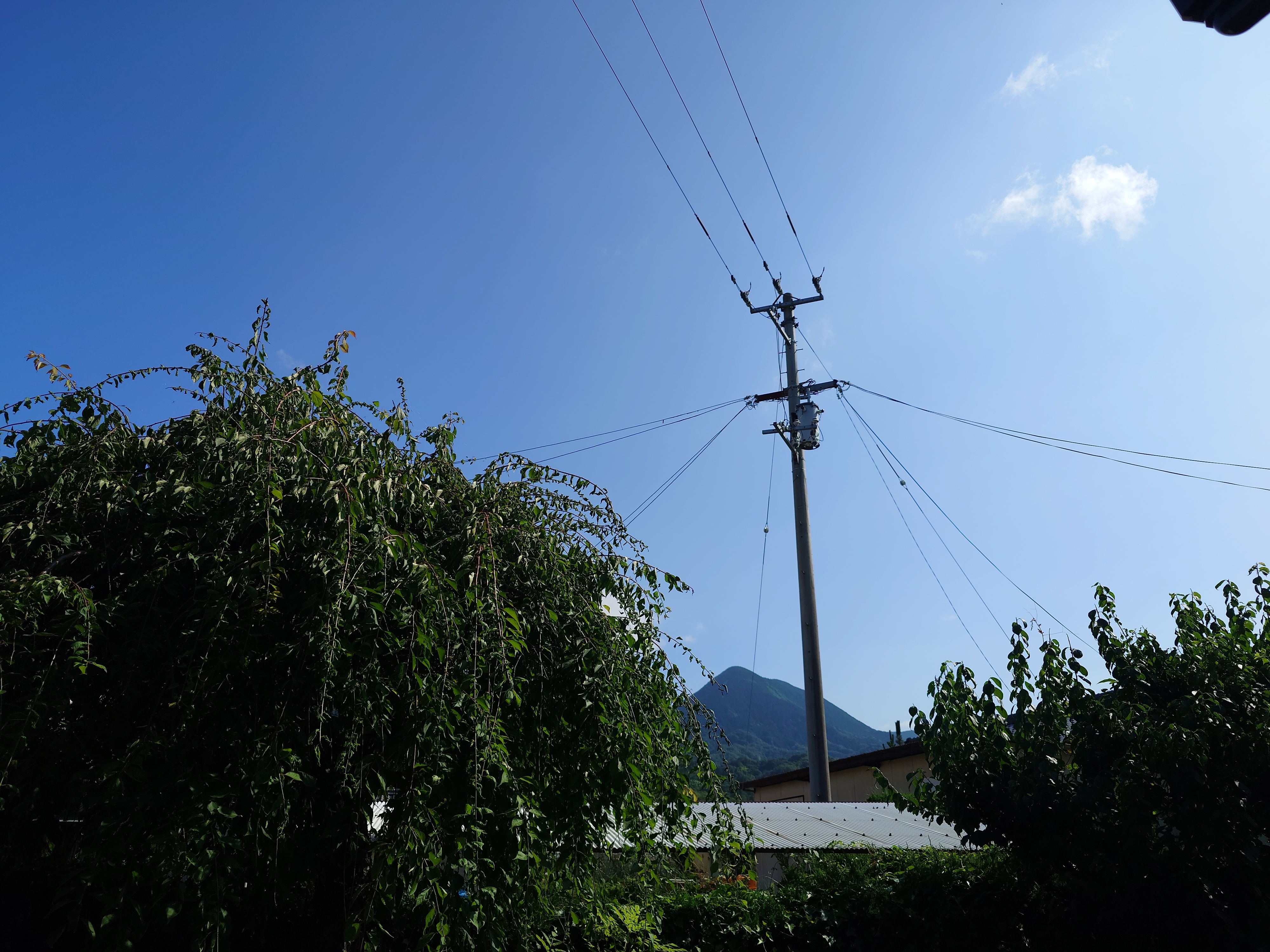 season gauge from the veranda