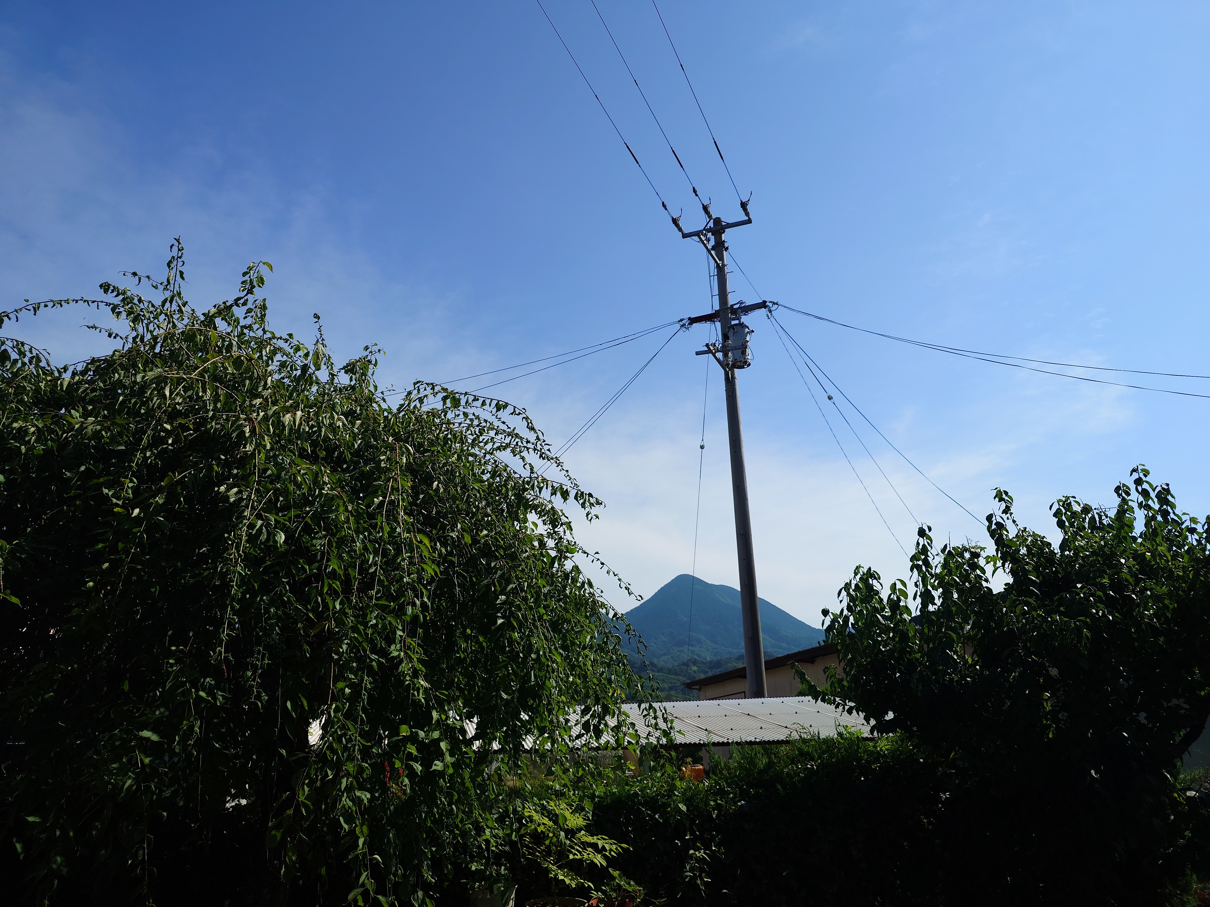 season gauge from the veranda