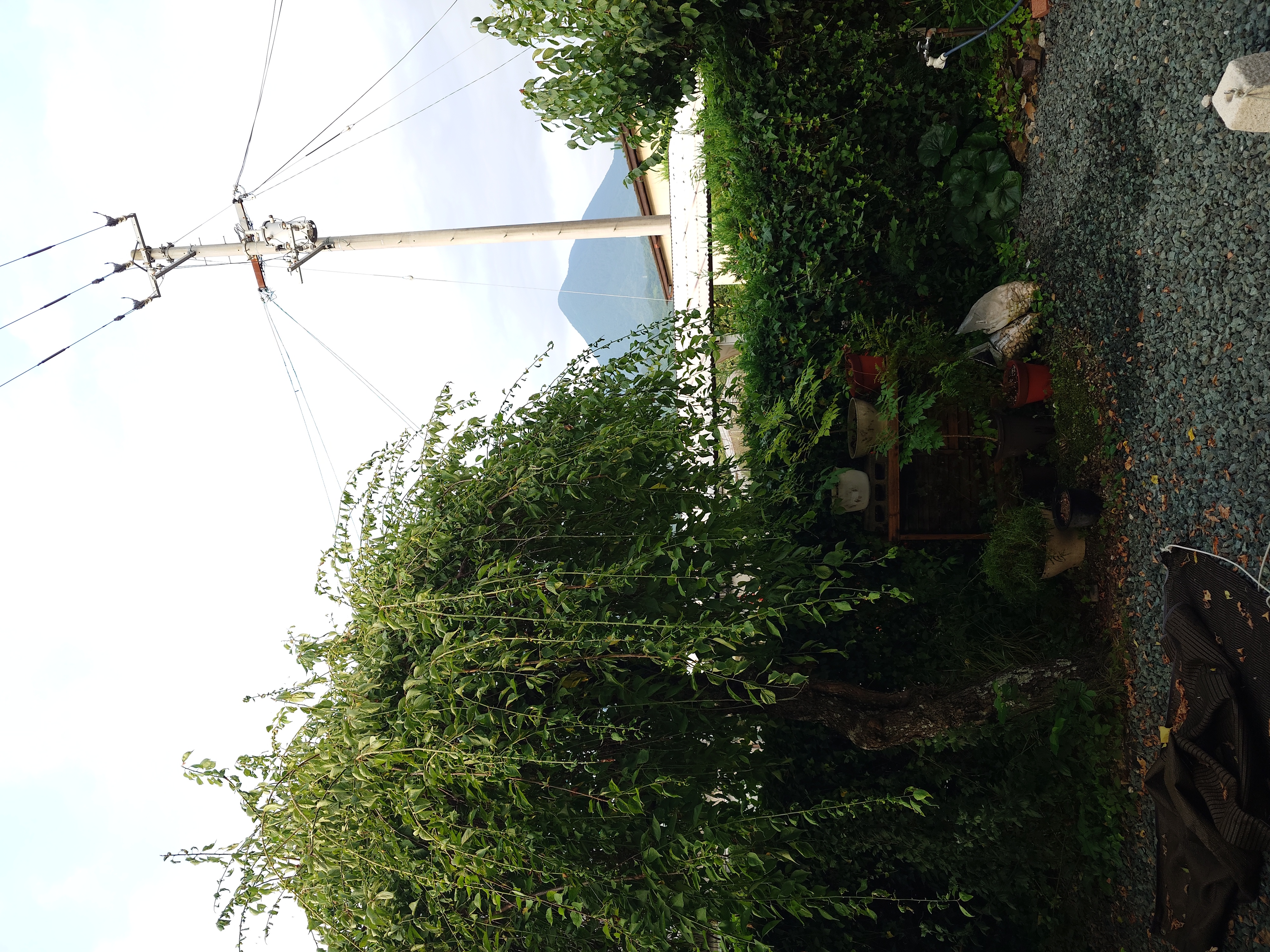 season gauge from the veranda
