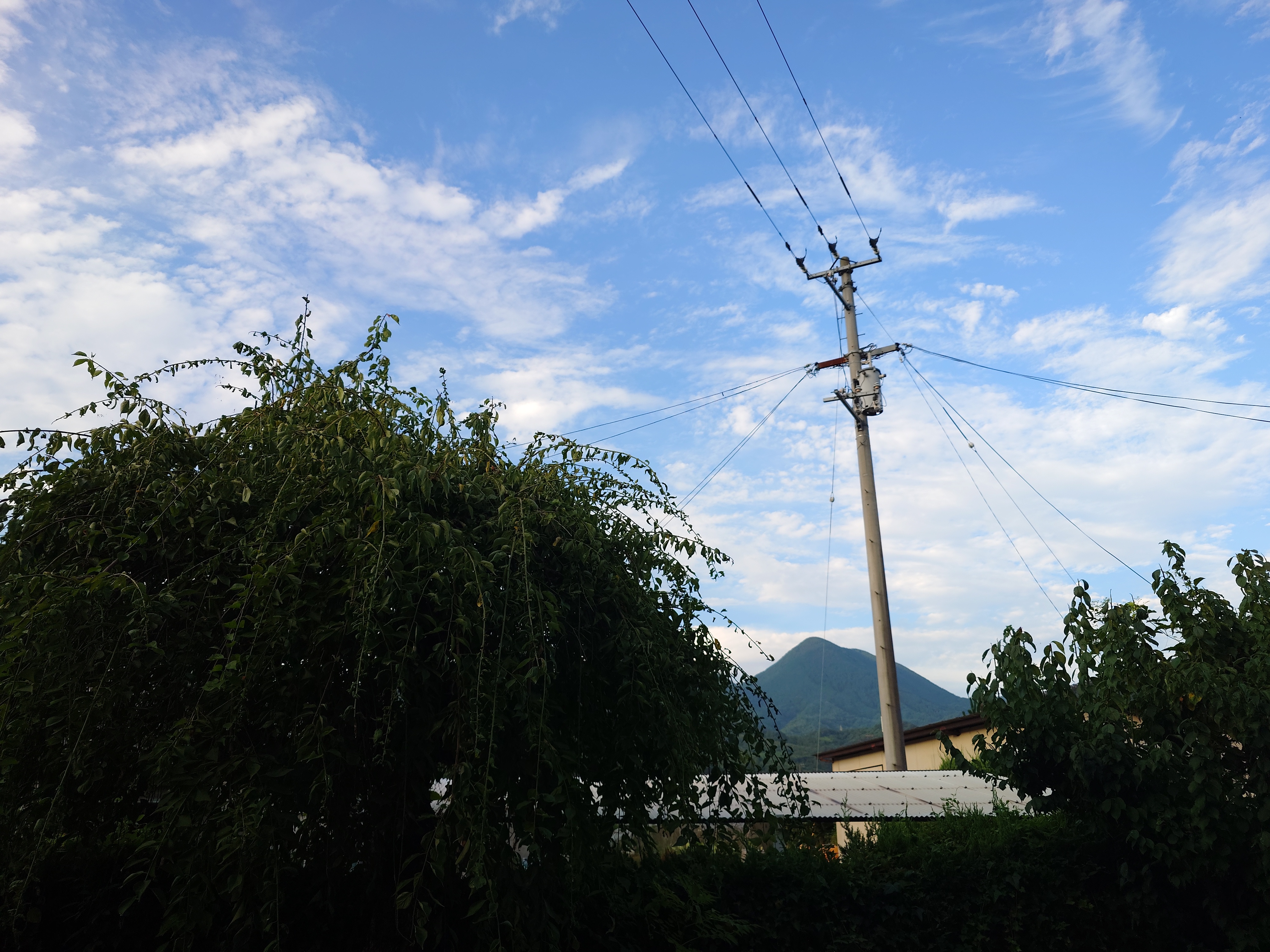season gauge from the veranda